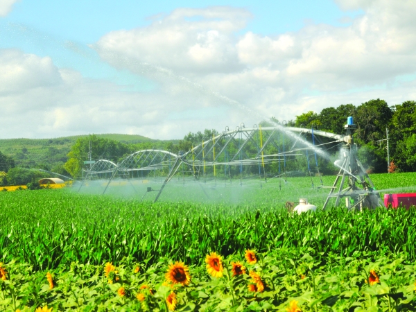 L'irrigation, un enjeu de taille pour l'agriculture face à l'évolution du climat