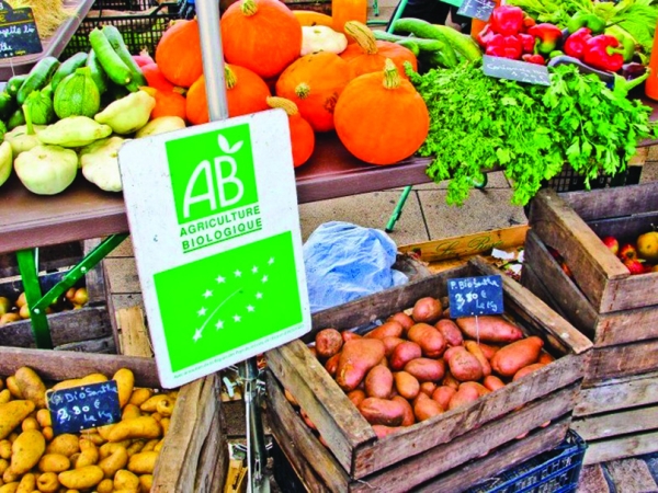 Fruits frais bio : des achats en recul, mais une origine France en progression