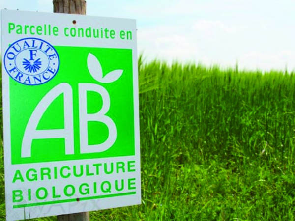 Mise en œuvre du plan de soutien à l’agriculture biologique 