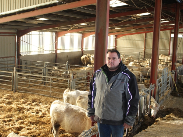 Ferme connectée : sécurité et bien-être pour animaux et éleveurs