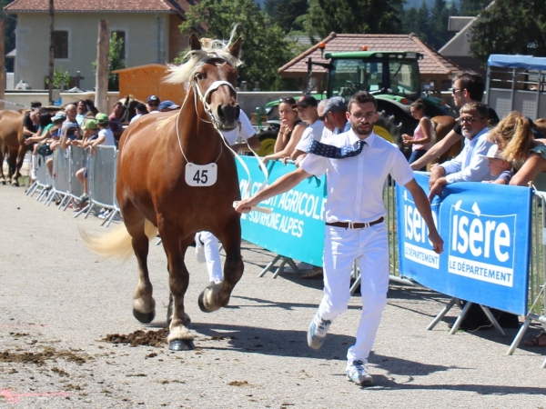 Trois ardéchois au concours national de chevaux de trait