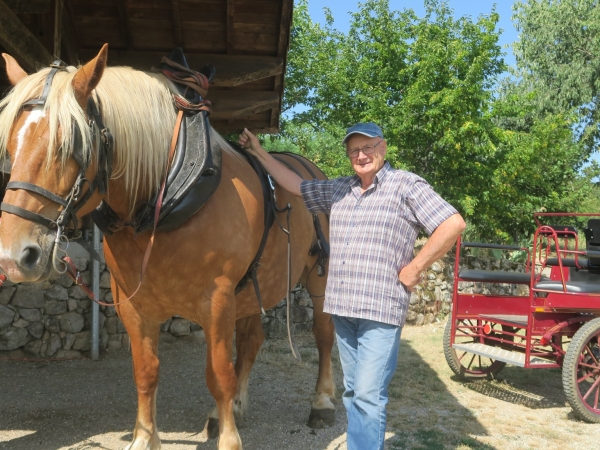 Meneur de chevaux de trait : une passion en héritage