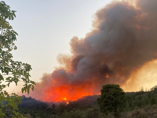 Lagorce : 320 ha emportés par le feu