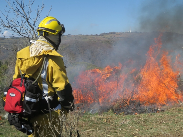 Plus de 600 pompiers ont été mobilisés lors des incendies du 27 juillet