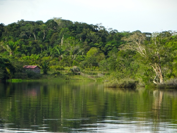 La Norvège et l’Allemagne reprennent l’aide pour l’Amazonie 