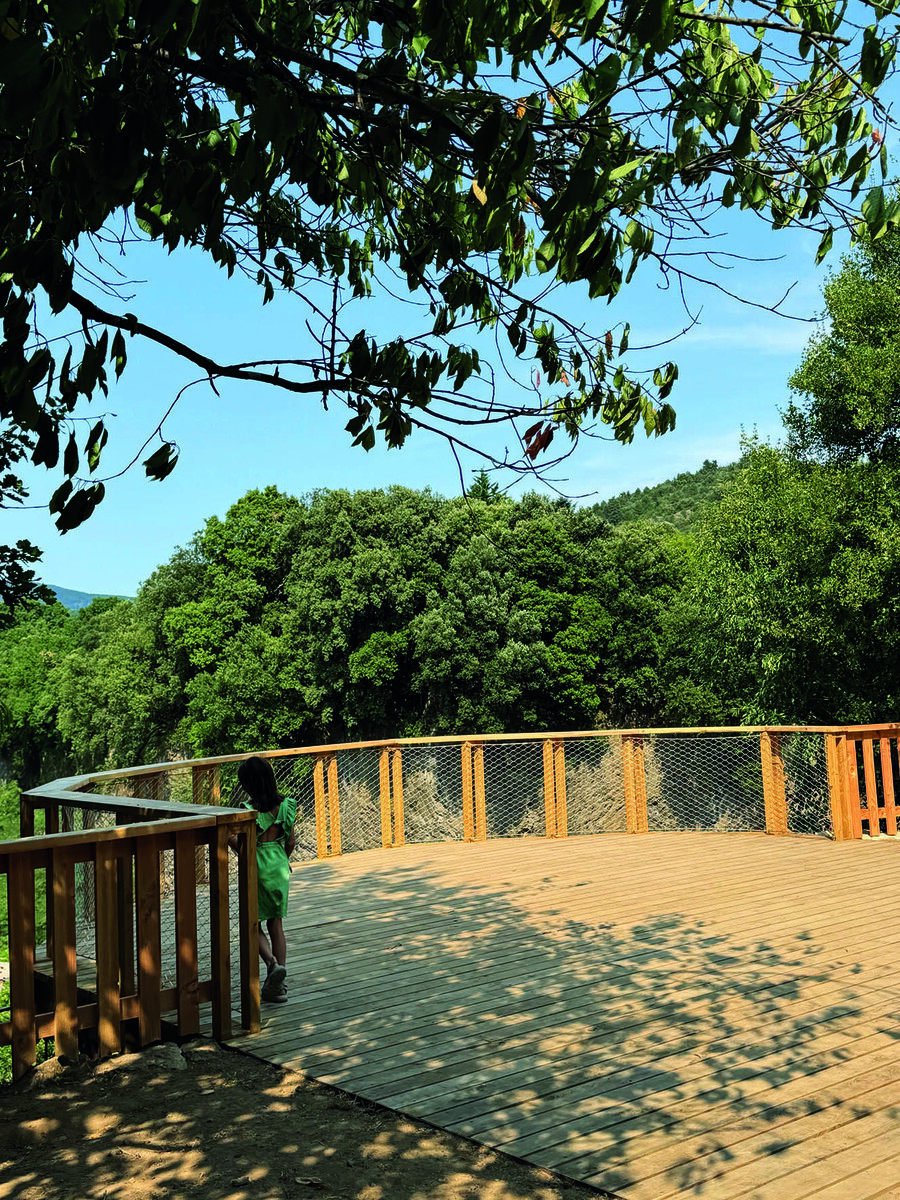 Nouveau bonus pour valoriser le châtaignier ardéchois