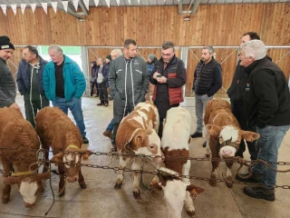 Marché  de Langogne : un patrimoine local menacé