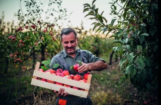 Travail détaché : recours stable  en agriculture