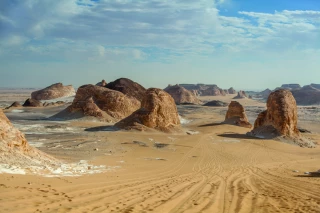 De l’agriculture dans le désert 