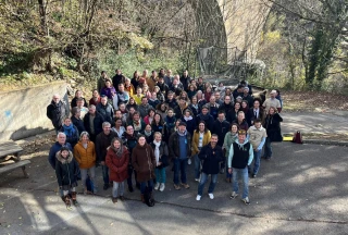 Gelée royale française : David contre Goliath sur le marché  de l’import ?