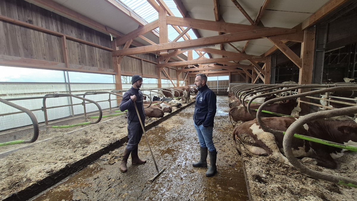 Façade mobile : avoir un bâtiment pour l’été et l’hiver 