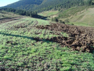 Des leviers d’intervention renforcées