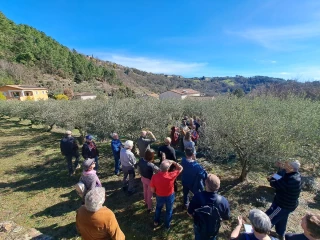Une filière qui se structure