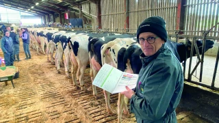 Les holsteins du plateau, un troupeau  au très haut niveau génétique