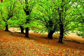 La structuration passera par la relation amont-aval