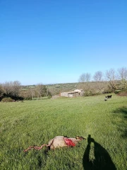 « On ne voit pas d’issue »