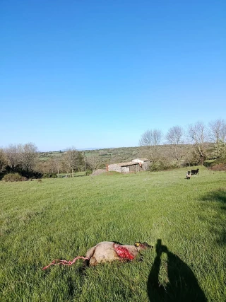 « On ne voit pas d’issue »