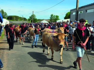 La Fête rassemble près de 7 000 personnes  aux Vastres