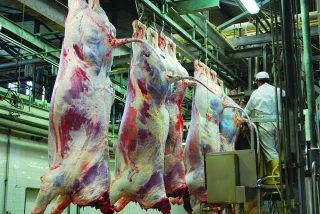 Abattoir de Langogne : un maillage à défendre