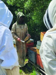 S’initier aux biotechniques pour contrer le varroa