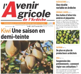 Notre newsletter sera prochainement disponible !