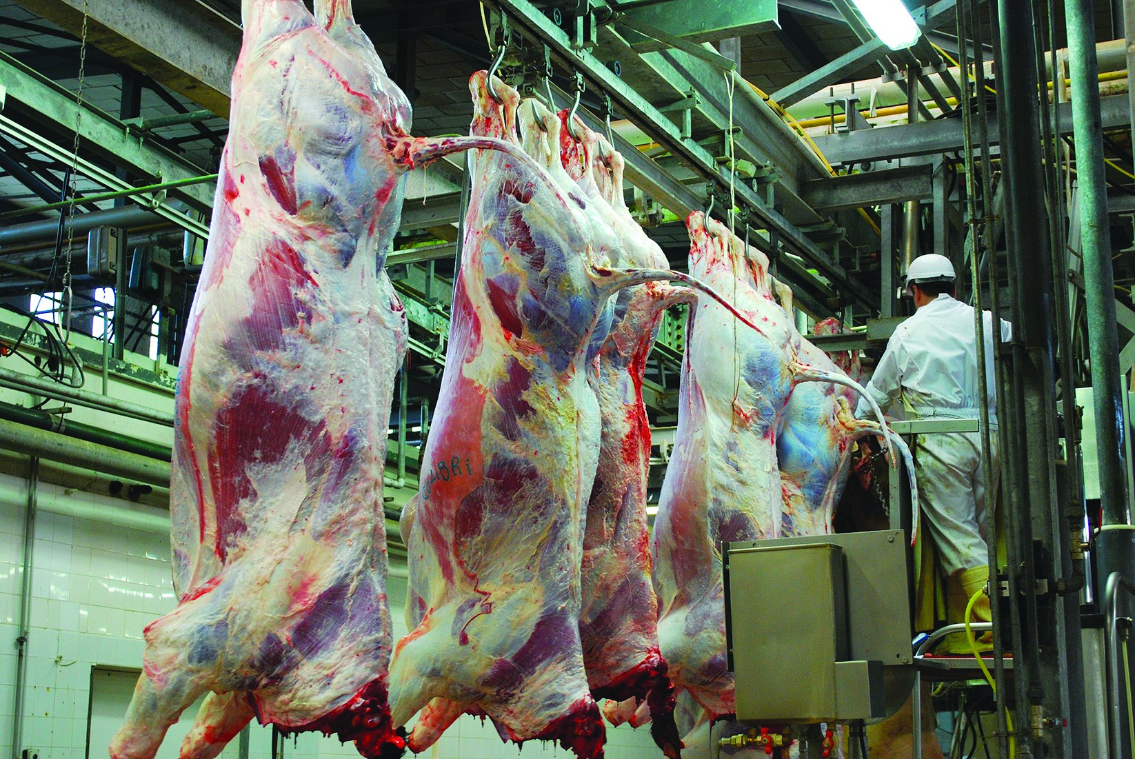 Abattoir autogéré : l'idée peine à mobiliser