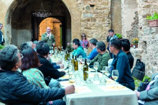 Switch Food Explorer : mesurer l’impact de ce que l’on mange