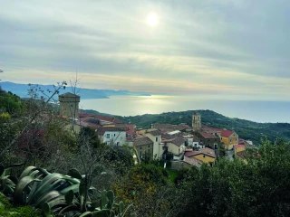La diète méditerranéenne, un patrimoine vivant et durable