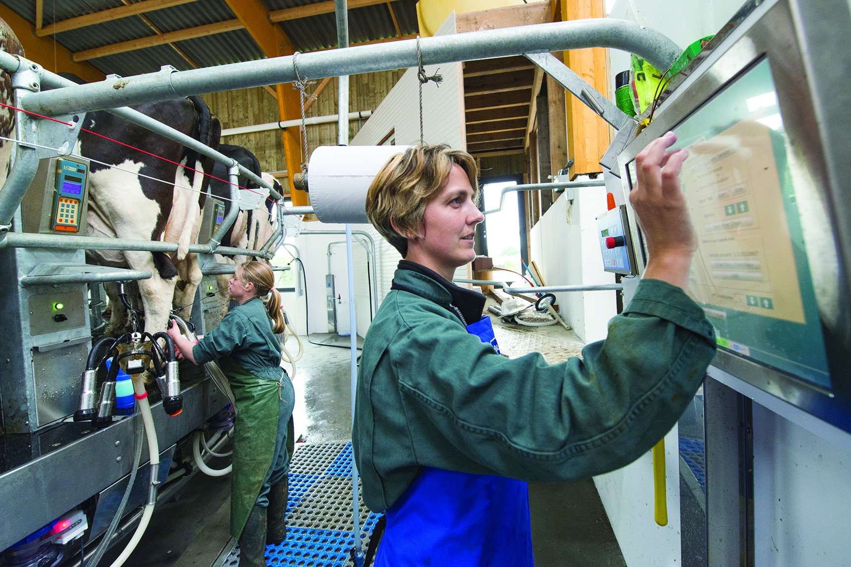 Une bouteille de lait très nationale, sauf pour le matériel de traite