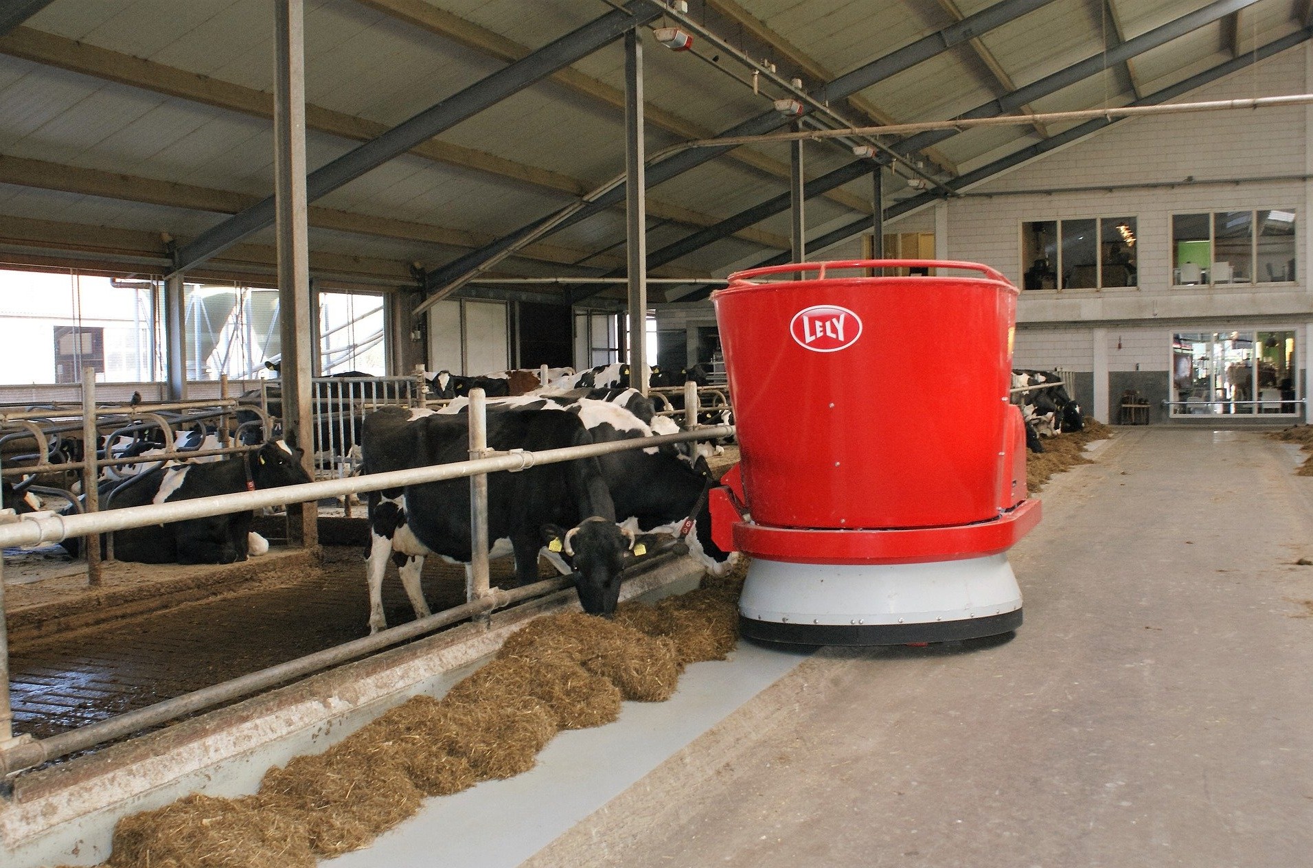 Bovins laitiers : la robotisation de l’alimentation, la solution ultime ?