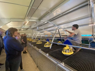 Des œufs de poules en plein air au Gaec Floremy