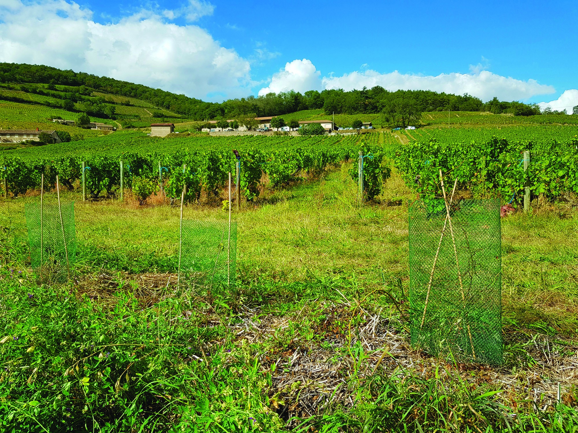 Rémunérer les agriculteurs pour les services environnementaux