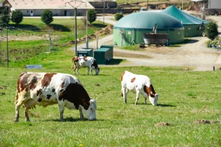 Difficile transition de la cogénération à l’injection