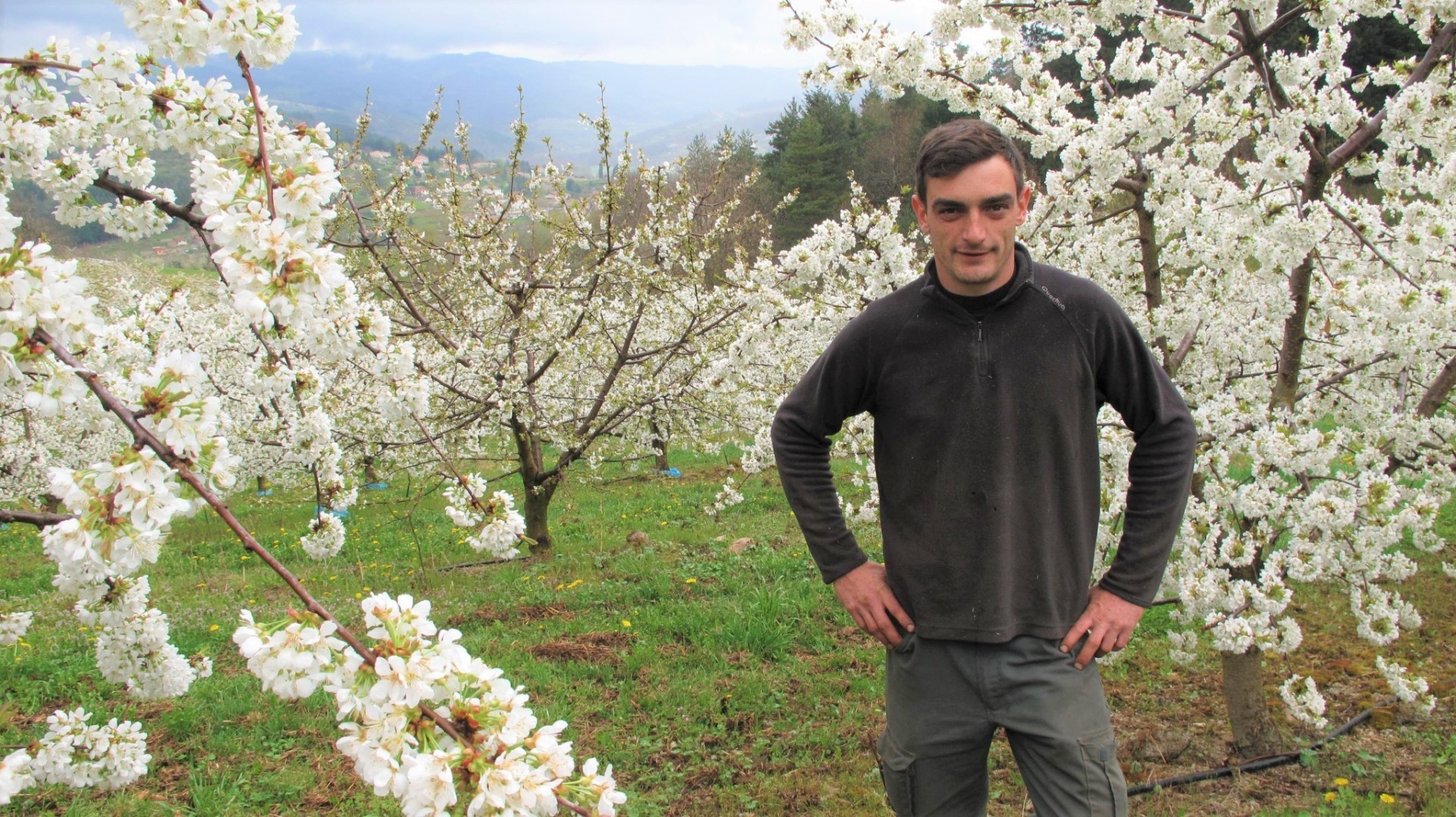 Aurélien Soubeyrand futur président du CS de FranceAgriMer