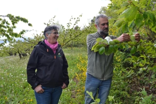 La filière arboricole cherche un nouveau souffle