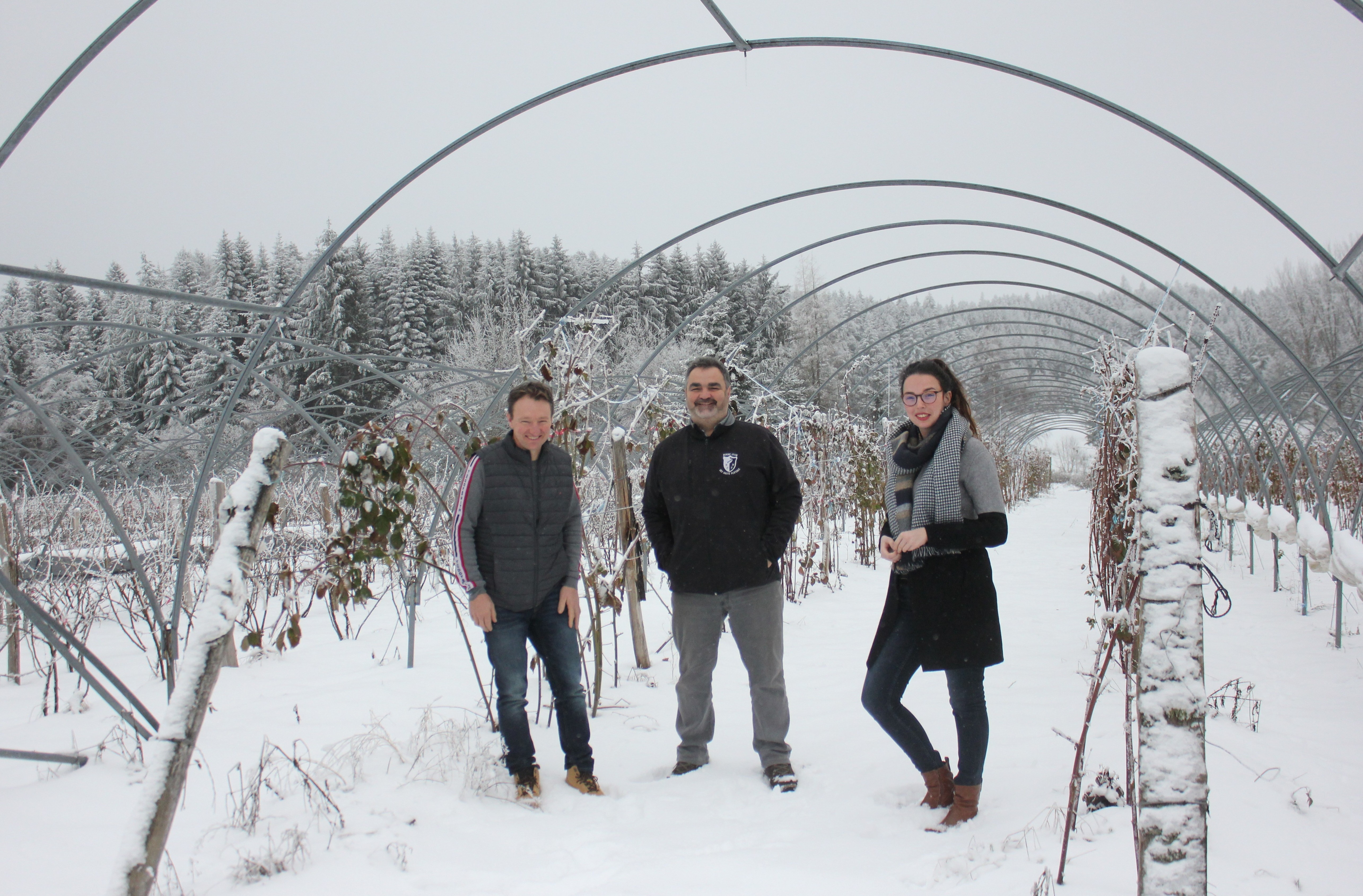 Petits fruits cherchent producteurs