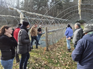 Les Fruits rouges des Monts du Velay cherchent producteurs
