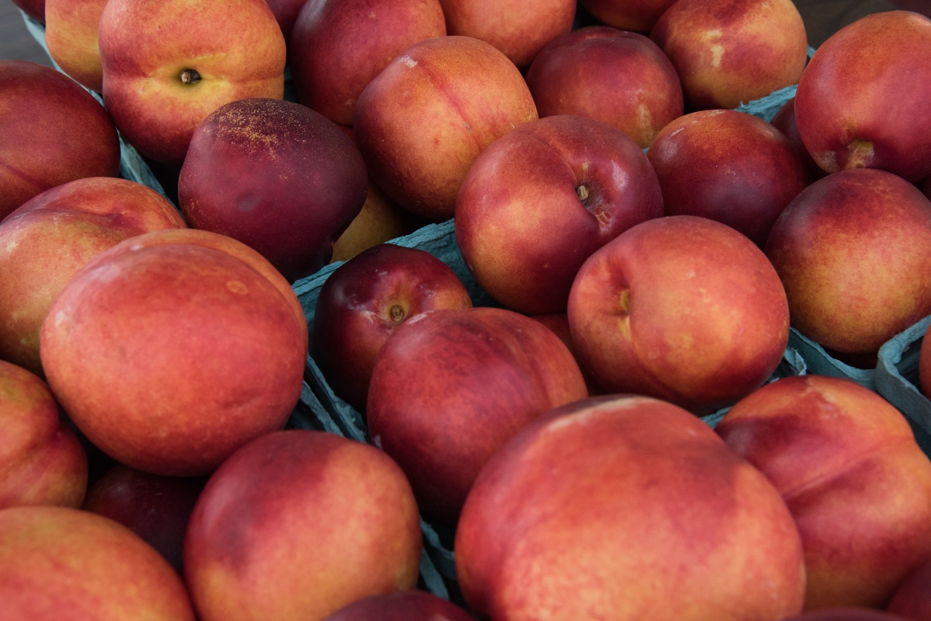 Une mauvaise campagne pour la pêche - nectarine