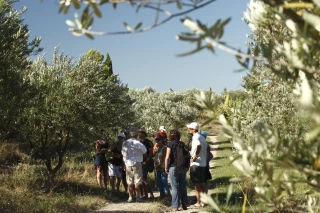 À la découverte des terroirs ardéchois