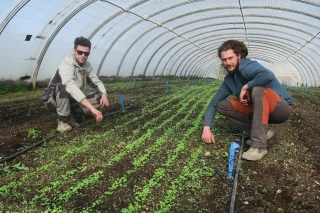 « Vous avez un projet en agriculture bio ? »