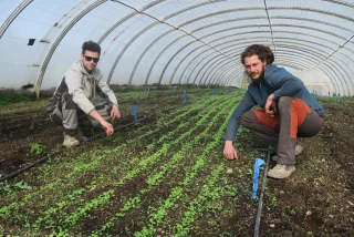 « Vous avez un projet en agriculture bio ? »