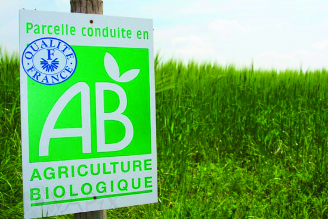 Mise en œuvre du plan de soutien à l’agriculture biologique 