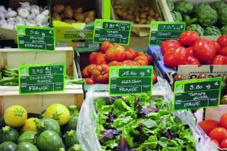 Soutien à la certification bio