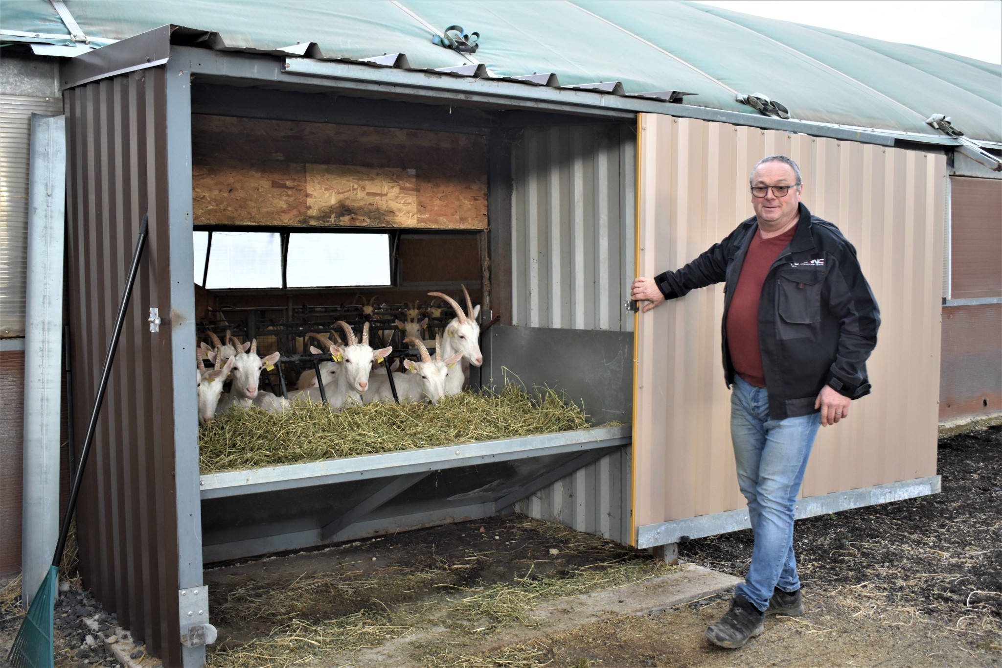 Alimentation des chèvres, comment diminuer la pénibilité ?