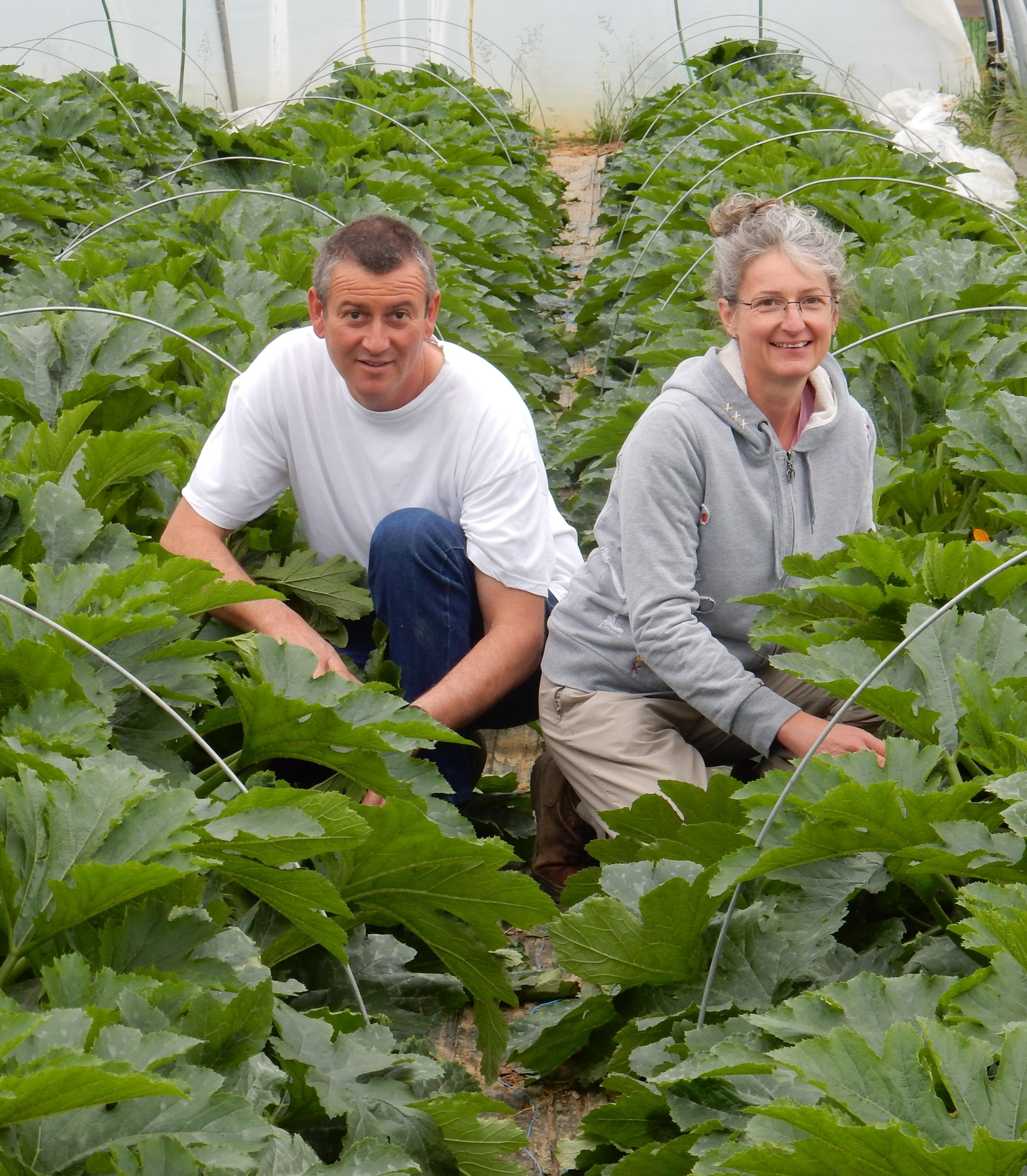 Une première pour les légumes au concours Fermier d’Or