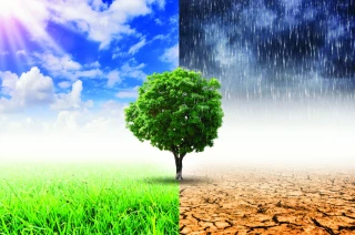 La nécessaire adaptation à l'évolution du climat