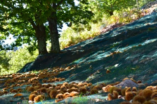 Une première étape est franchie