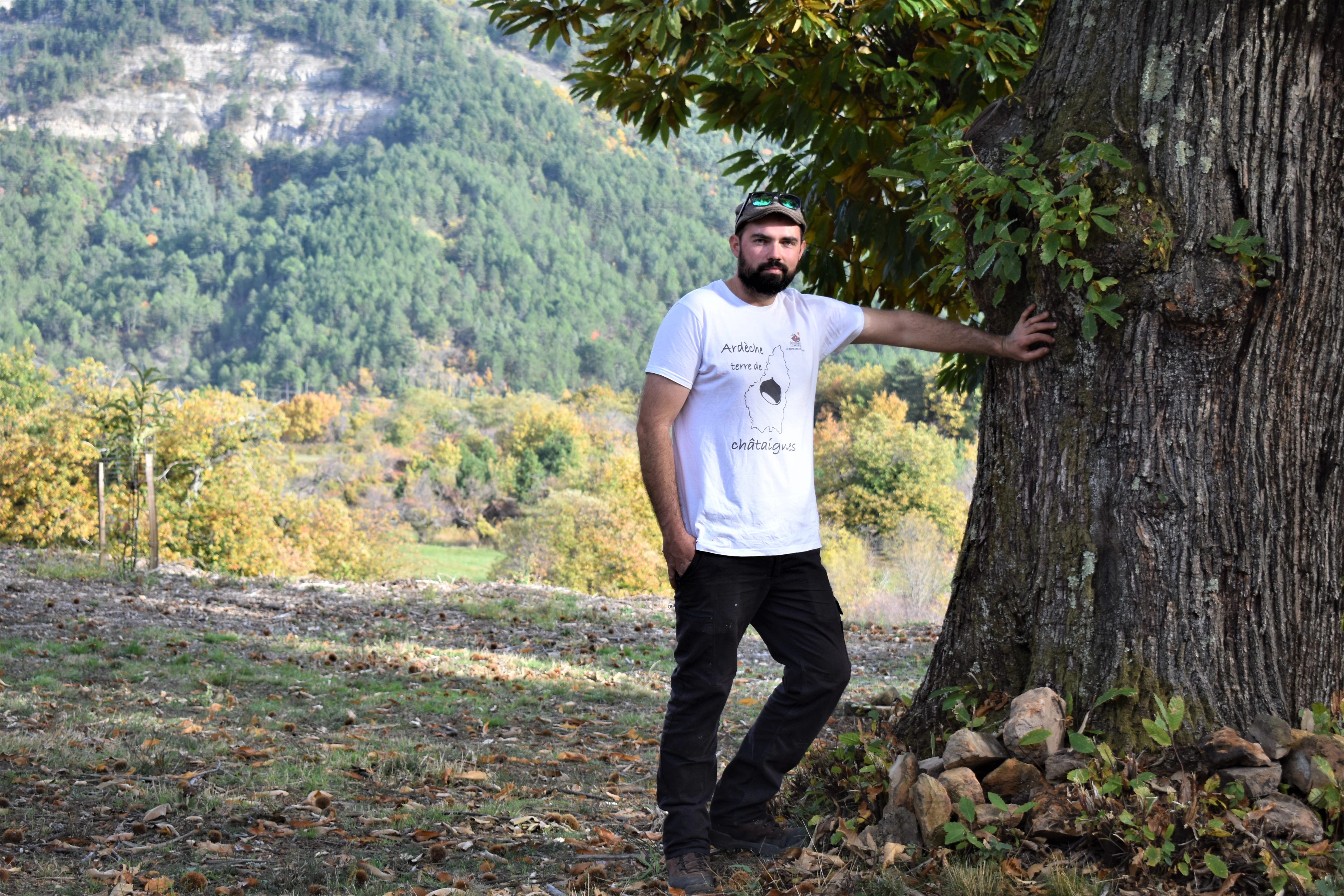 « Le châtaignier se plante d’une génération pour une autre », souligne Gaëtan Vernol, dépositaire du travail réalisé avant lui par ses aïeuls.