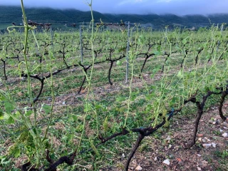 L’Ardèche à nouveau touchée par les intempéries