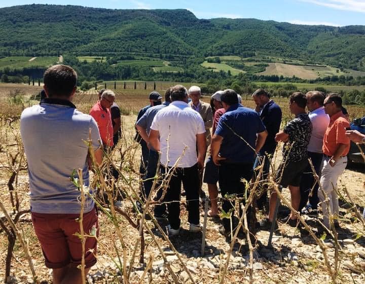 Le préfet visite un vignoble touché par la grêle en Sud Ardèche